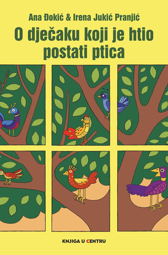 O dječaku koji je htio postati ptica