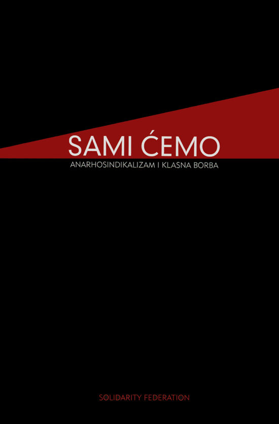 Sami ćemo