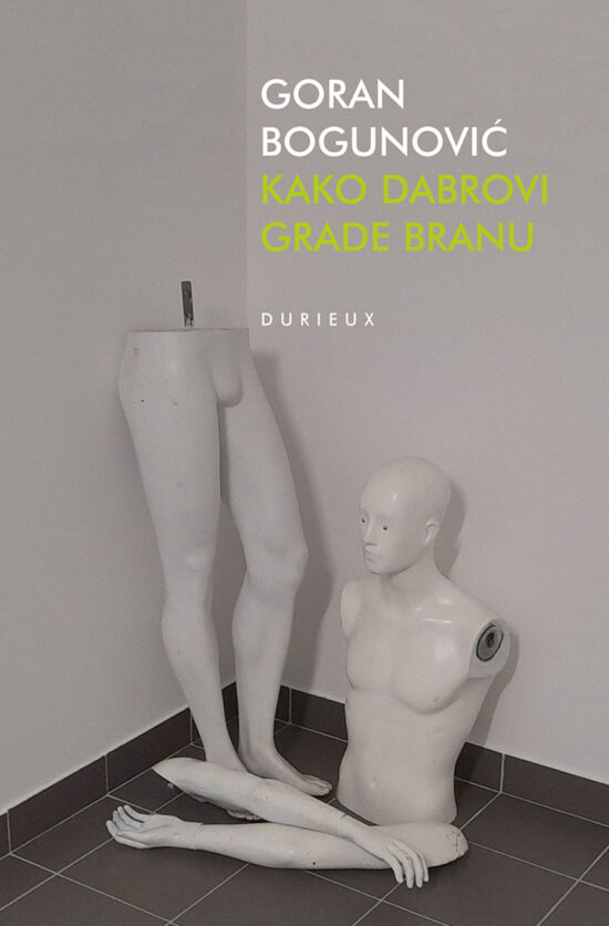 Kako dabrovi grade branu