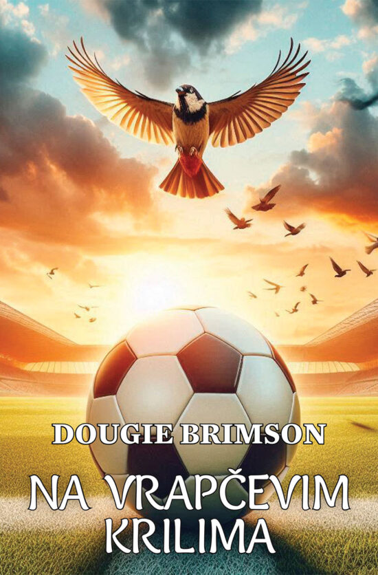 Na vrapčevim krilima